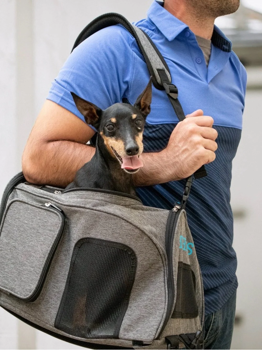 Gray Pet Carrier Tote Bag for Dogs - Comfortable Travel Carrier